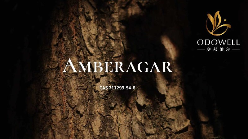 ODOWELL AMBERNAGAR-amberwood-upped өндірістік ингредиенттері сәнді хош иіссуларда ұзақ өмір сүреді