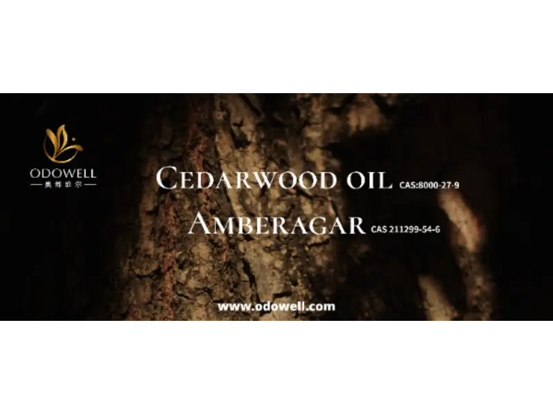 Сіздің қолтаңба хош иісіңіз шынымен ерекше ма?