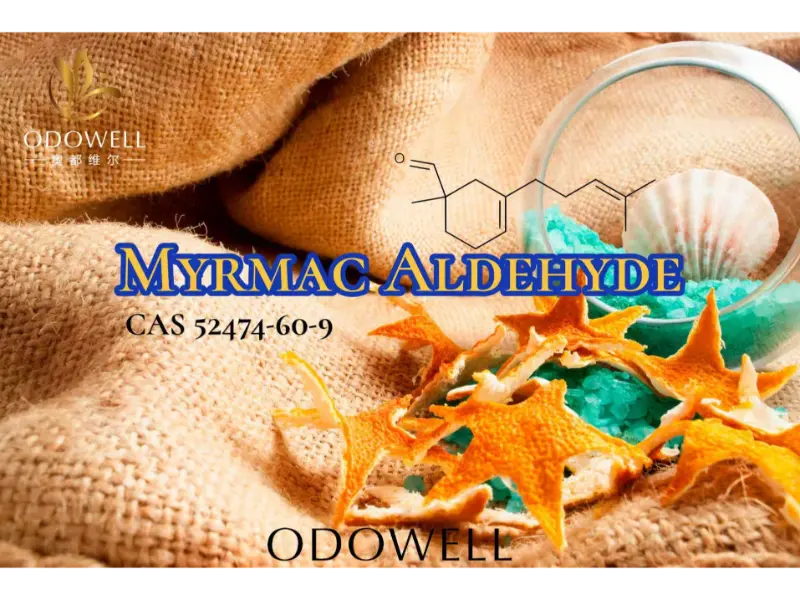 Myrmac Aldehyde – ODOWELL компаниясының таза сыртқы хош иістерге арналған озондық теңіз альдегиді