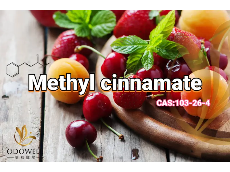 Methyl Cinnamate – Шығыс хош иістеріне арналған ODOWELL тәтті жемісті-бальзамды эфирі
