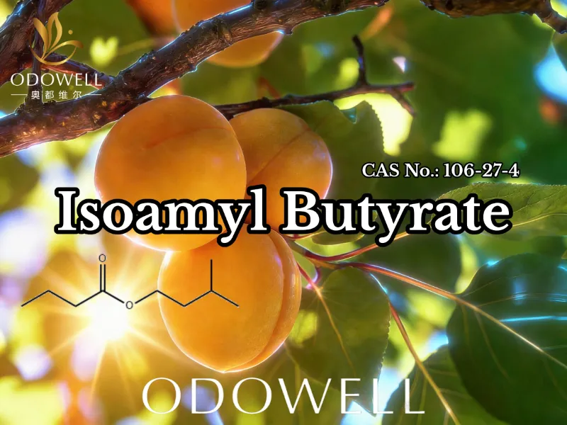 ODOWELL хош иіс пен хош иісті қолдану үшін изоамил бутиратты (CAS 106-27-4) ұсынады
