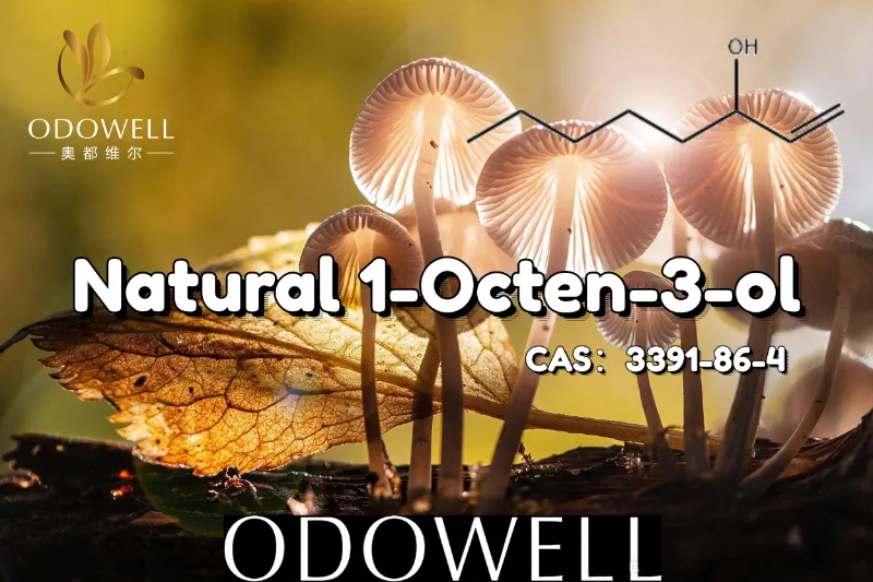 ODOWELL табиғи 1-Октен-3-олды саңырауқұлақ тәрізді және жер дәмін қолдану үшін ұсынады.