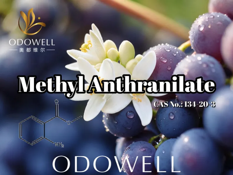 ODOWELL жүзім, апельсин гүлі және нероли қосымшалары үшін метил антранилатты ұсынады