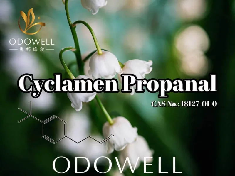 ODOWELL жаңа гүлді және мугует хош иісін қолдану үшін цикламен пропаналын ұсынады