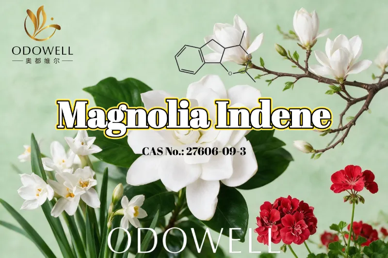 ODOWELL балғын гүлді-жасыл және цитрустық хош иісті қолдану үшін магнолия инденін ұсынады