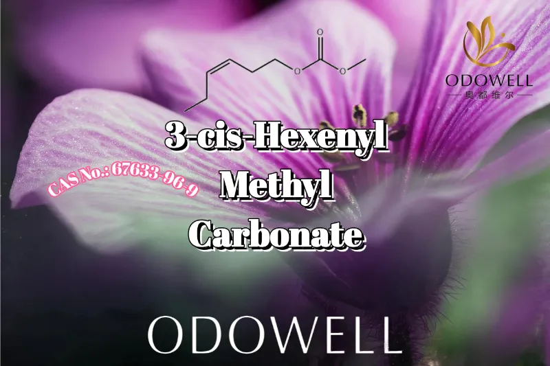 ODOWELL табиғи күлгін жапырақты және жасыл хош иісті қолдану үшін 3-цис-гексенил метил карбонатын ұсынады